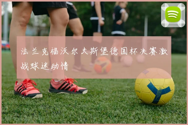 法兰克福沃尔夫斯堡德国杯决赛激战球迷动情