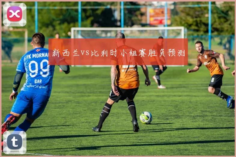 新西兰vs比利时小组赛胜负预测