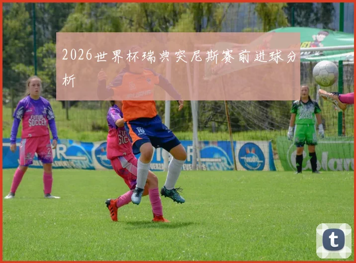 2026世界杯瑞典突尼斯赛前进球分析