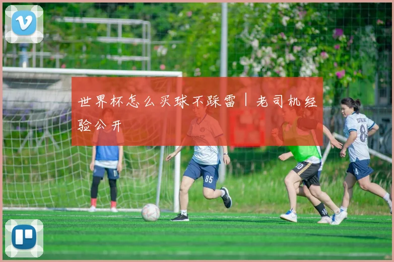 世界杯怎么买球不踩雷|老司机经验公开