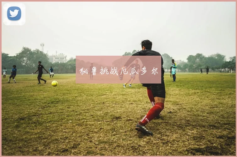 秘鲁挑战厄瓜多尔