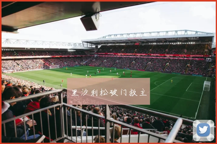 里沙利松破门救主
