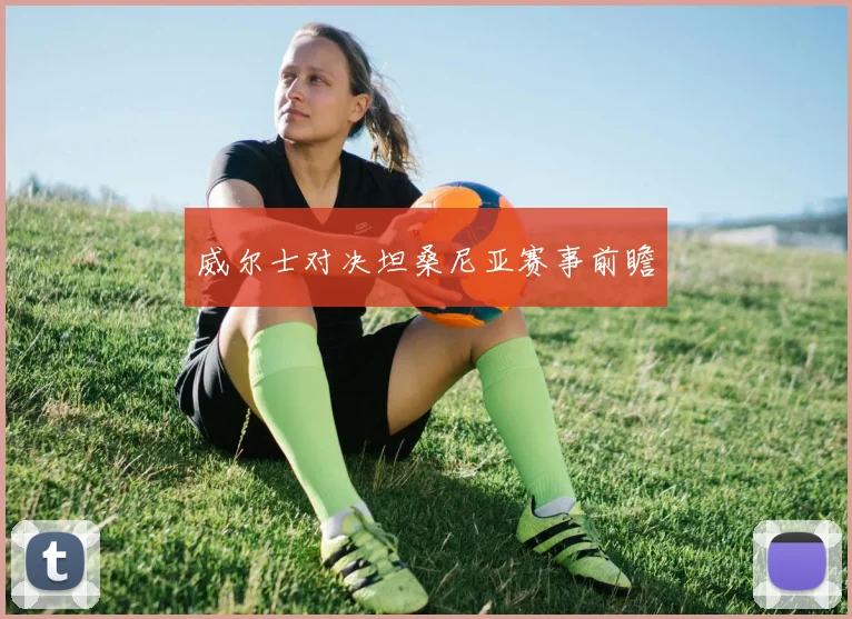 威尔士对决坦桑尼亚赛事前瞻
