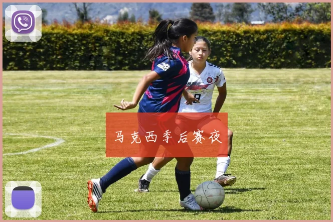 马克西季后赛夜