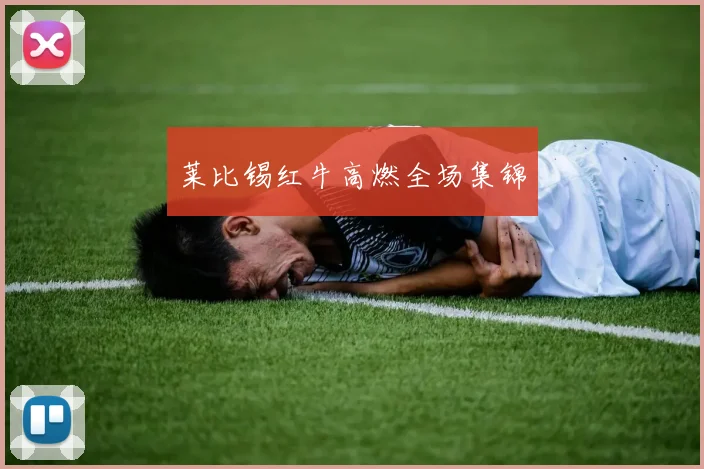 莱比锡红牛高燃全场集锦