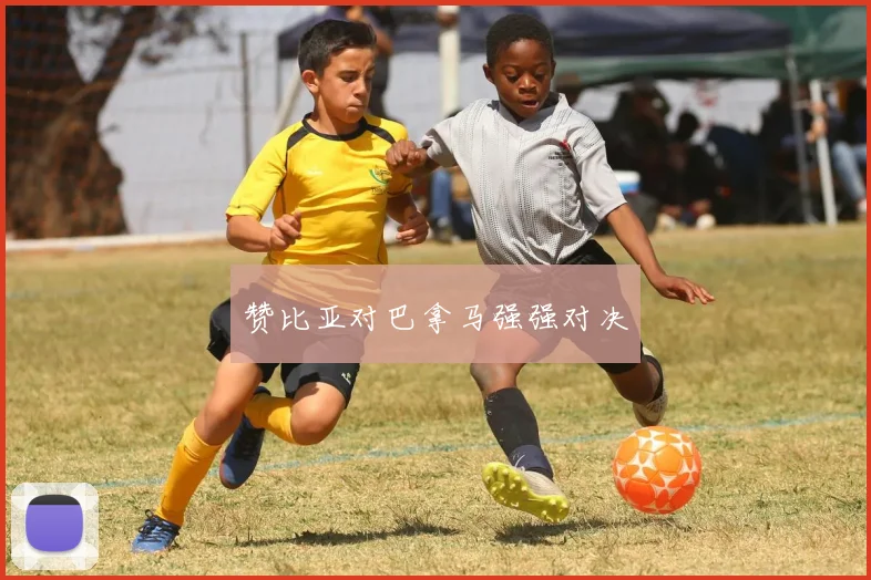 赞比亚对巴拿马强强对决