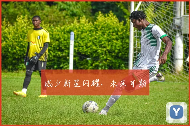 威少新星闪耀,未来可期