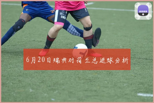 6月20日瑞典对荷兰总进球分析