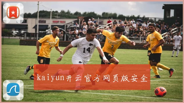 kaiyun开云官方网页版安全
