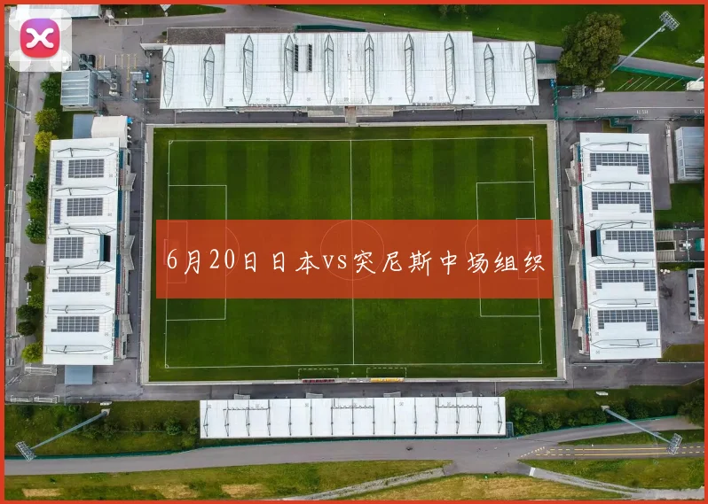 6月20日日本vs突尼斯中场组织