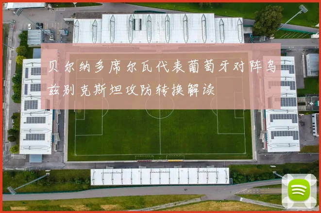 贝尔纳多席尔瓦代表葡萄牙对阵乌兹别克斯坦攻防转换解读