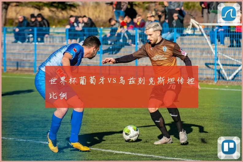 世界杯葡萄牙vs乌兹别克斯坦传控比例