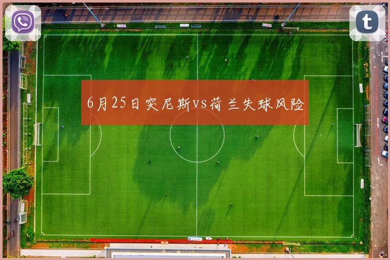 6月25日突尼斯vs荷兰失球风险