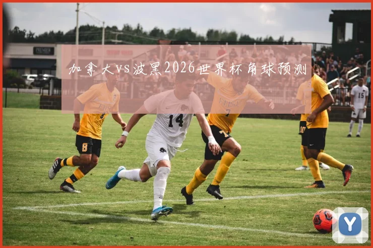 加拿大vs波黑2026世界杯角球预测