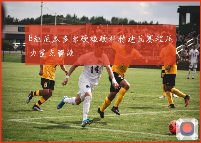 E组厄瓜多尔硬碰硬科特迪瓦赛程压力重点解读