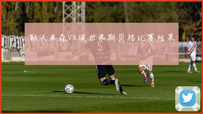 勒沃库森vs埃尔弗斯贝格比赛结果