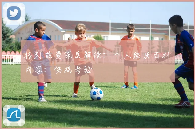 格列兹曼深度解读：个人经历百科内容：伤病考验
