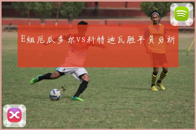 E组厄瓜多尔vs科特迪瓦胜平负分析